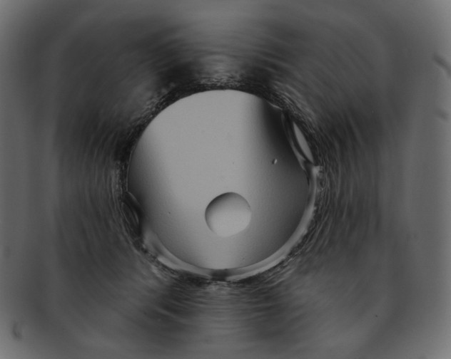 X0000091930416200710031102