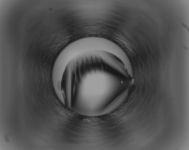 X0000091930417200710031102