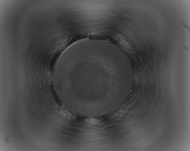 X0000091930419200710031102