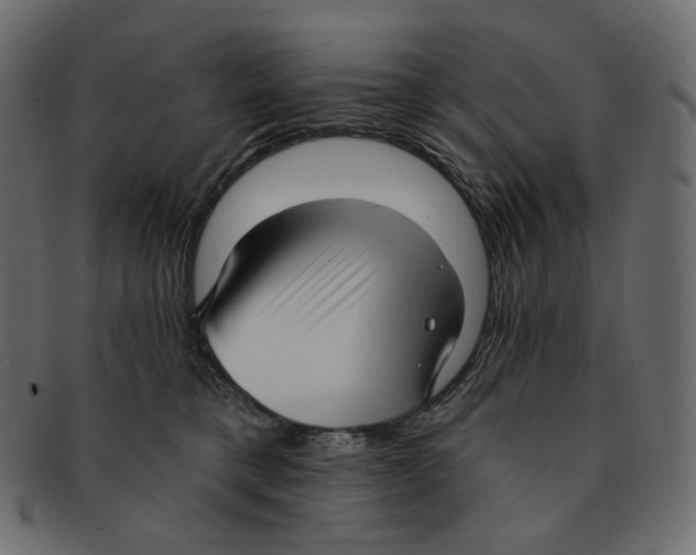 X0000091930421200710031102