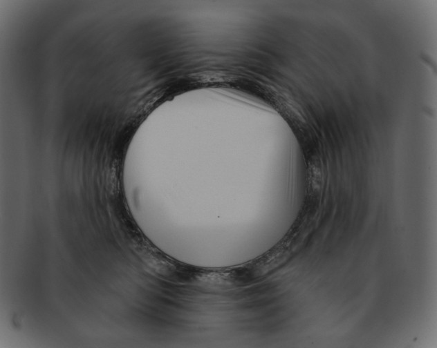 X0000091930422200710031102