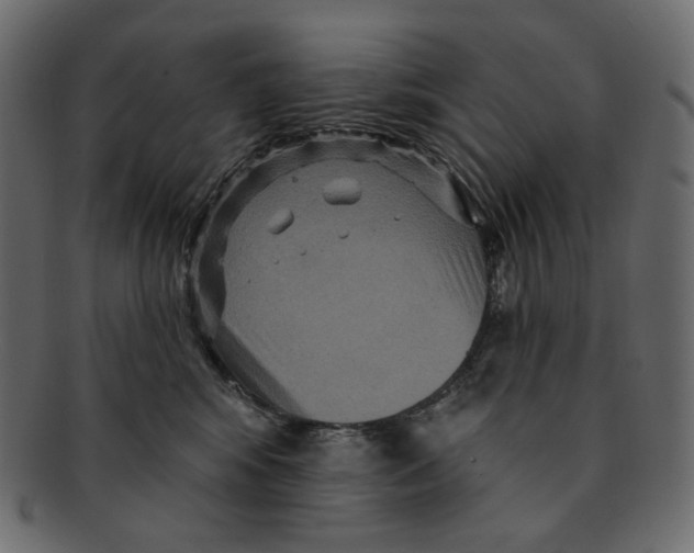 X0000091930424200710031102