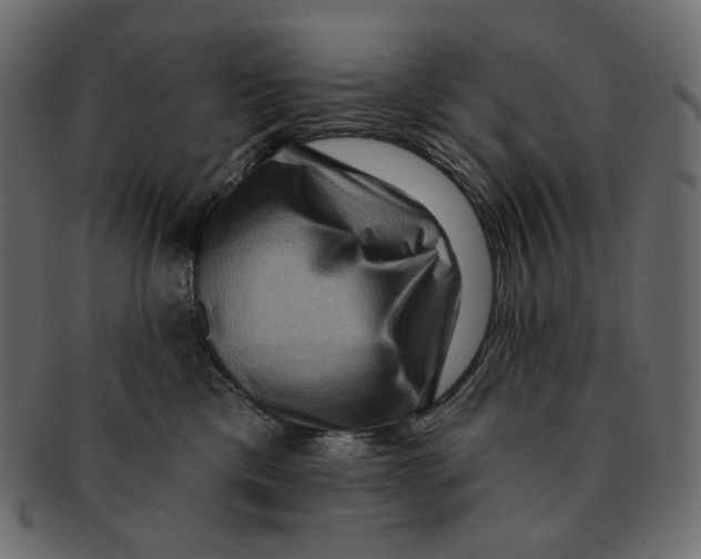 X0000091930425200710031102