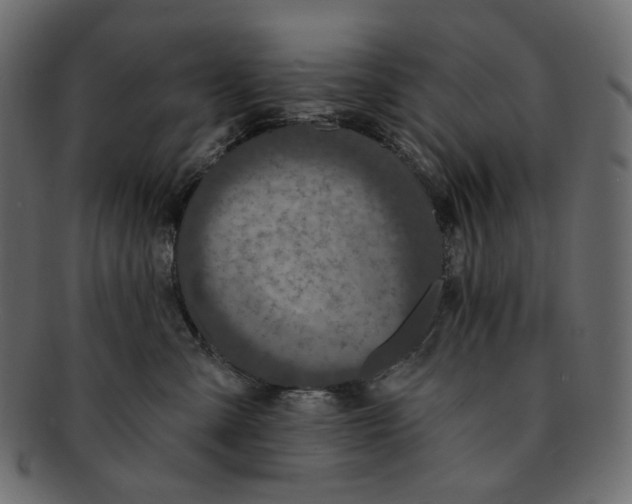 X0000091930427200710031102