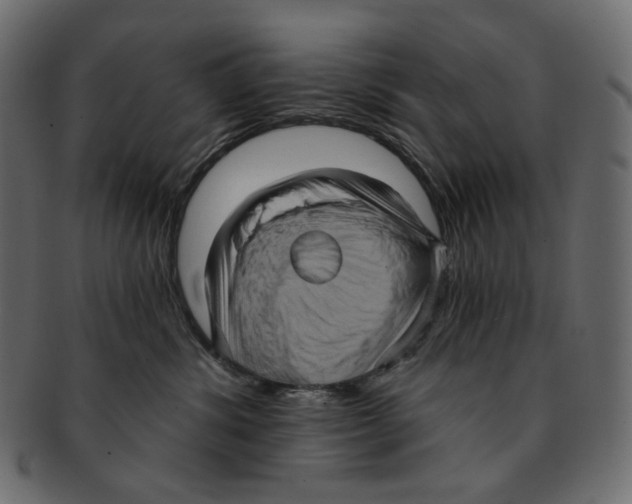 X0000091930428200710031102