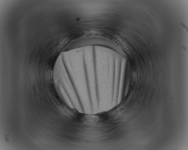 X0000091930429200710031102