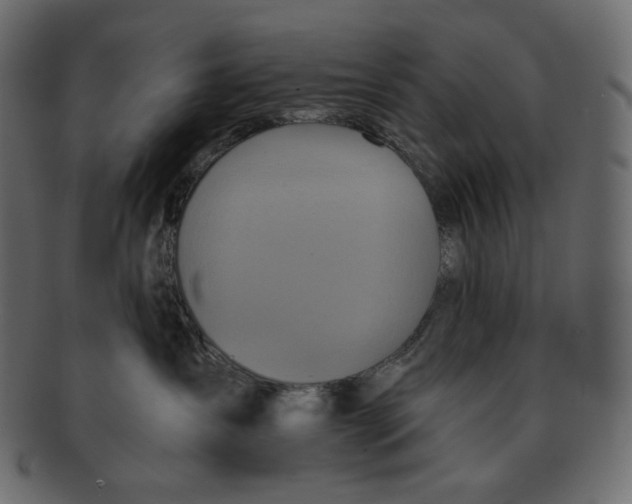 X0000091930431200710031102