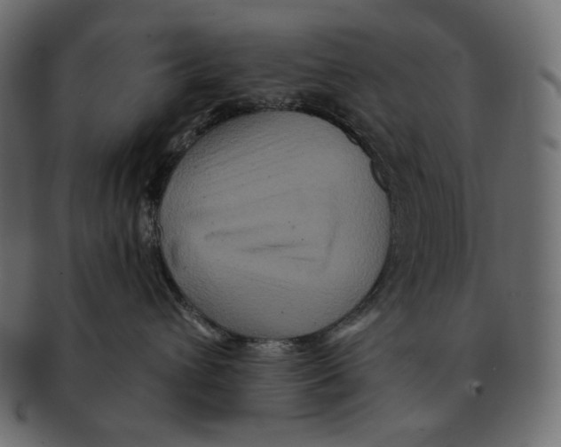 X0000091930432200710031102