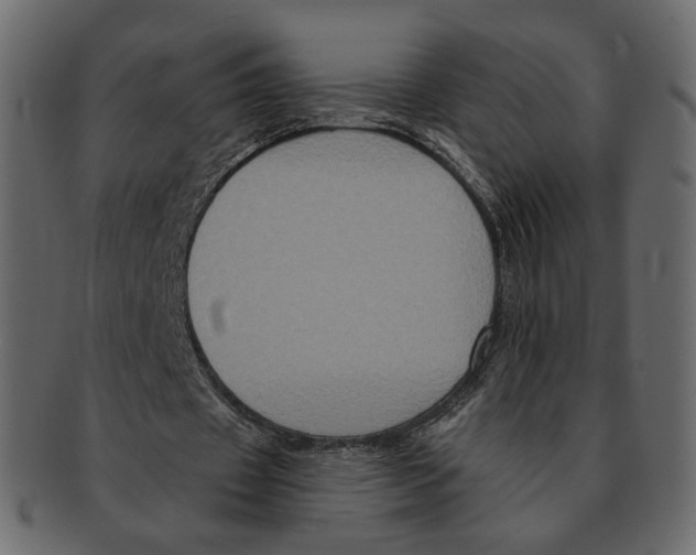 X0000091930433200710031102