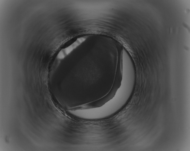 X0000091930434200710031102