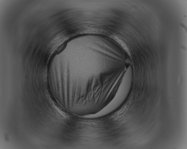 X0000091930437200710031102