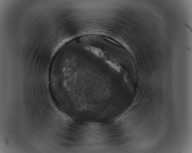 X0000091930438200710031102