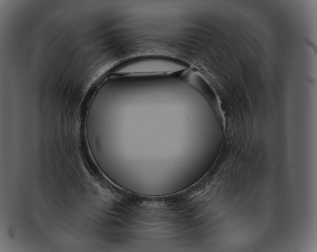 X0000091930440200710031102