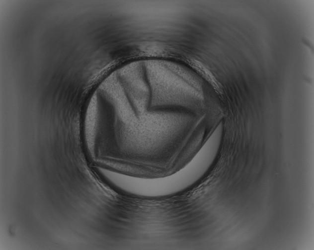 X0000091930442200710031102