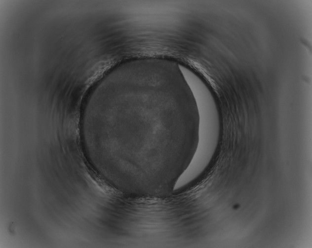 X0000091930443200710031102