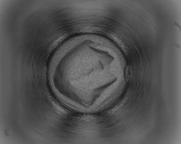 X0000091930445200710031102