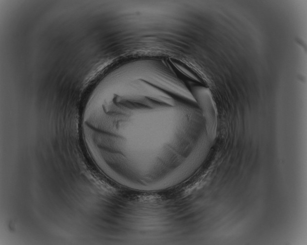 X0000091930446200710031102