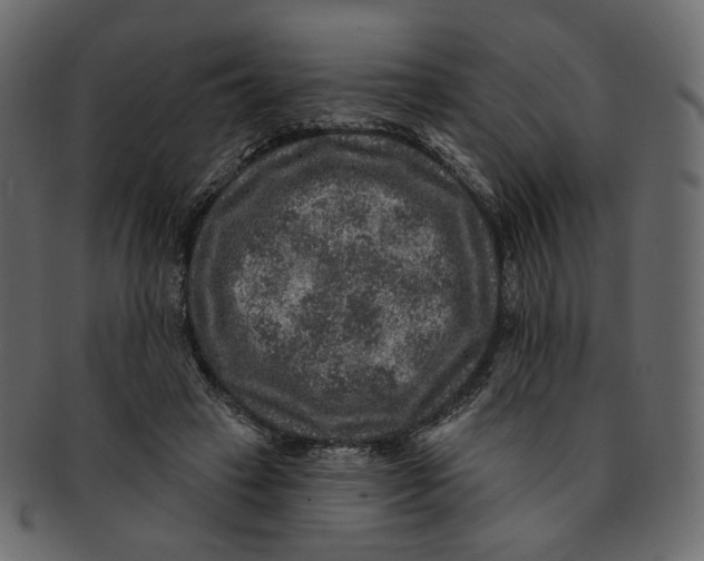 X0000091930449200710031102