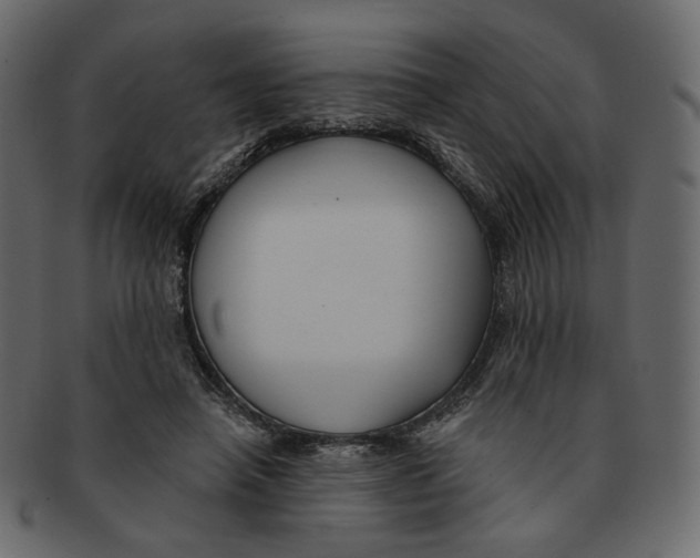 X0000091930450200710031102