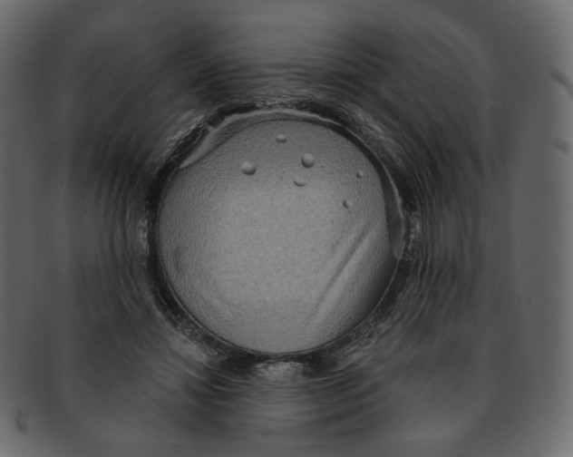 X0000091930452200710031102