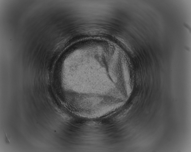 X0000091930453200710031102