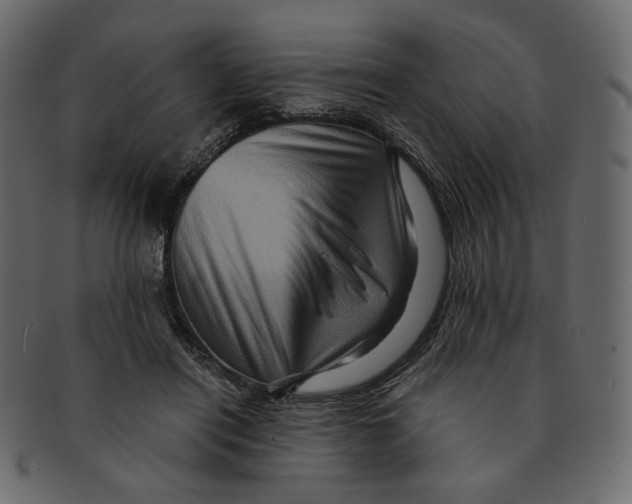 X0000091930454200710031102