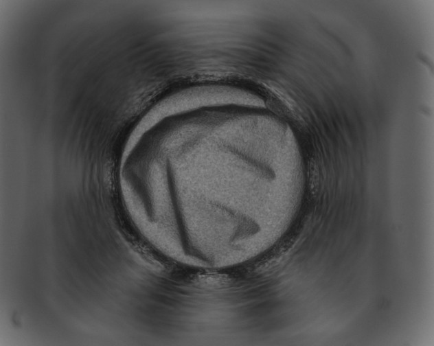 X0000091930455200710031102