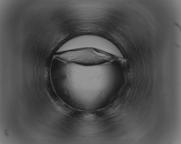 X0000091930456200710031102