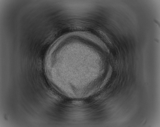 X0000091930457200710031102