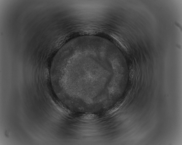 X0000091930459200710031102