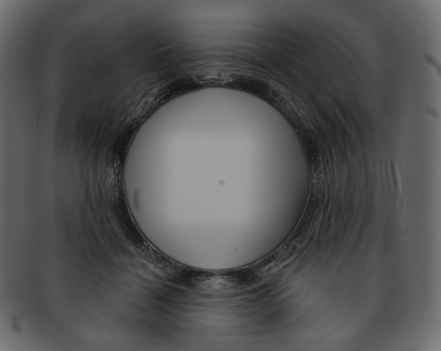 X0000091930460200710031102