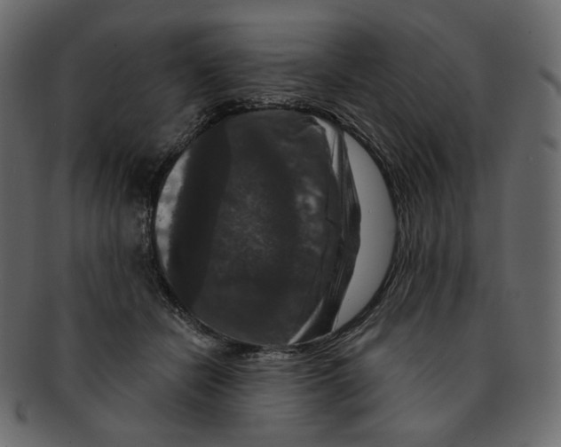 X0000091930462200710031102