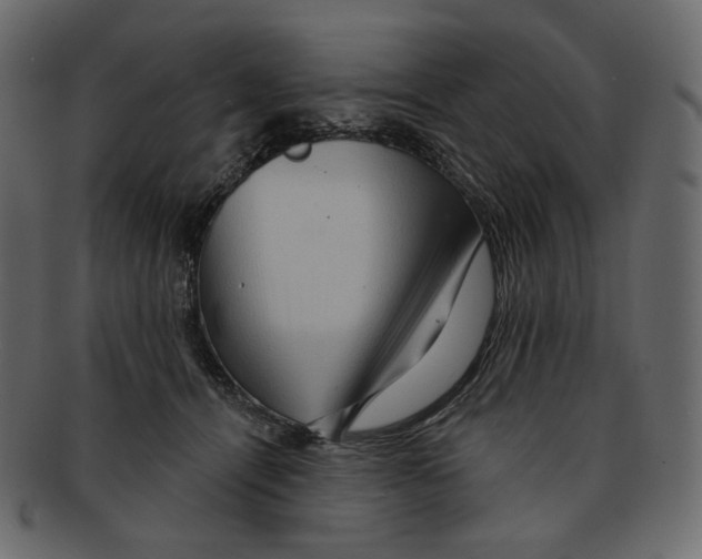 X0000091930464200710031102