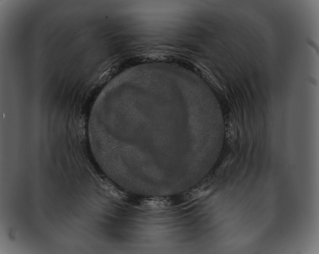 X0000091930466200710031102