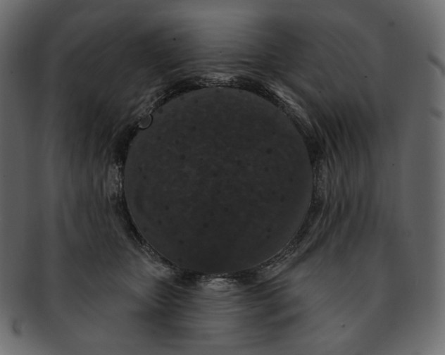 X0000091930467200710031102