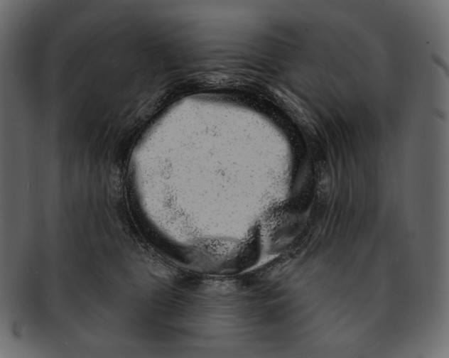 X0000091930469200710031102