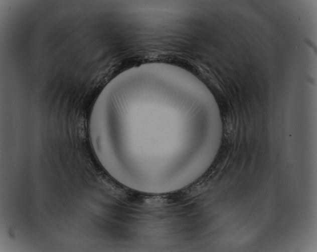 X0000091930470200710031102