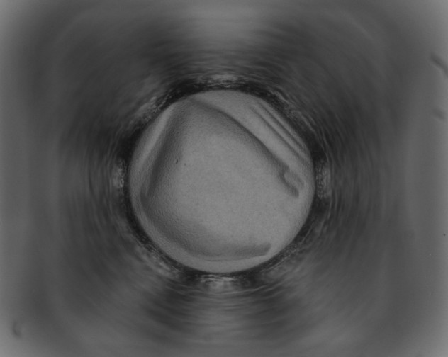 X0000091930472200710031102