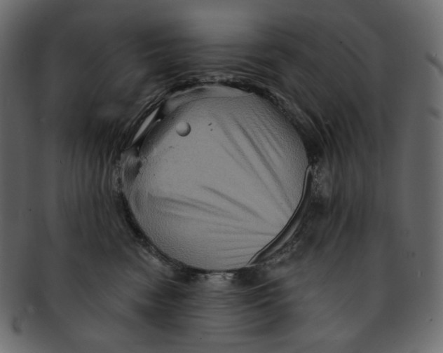 X0000091930474200710031102