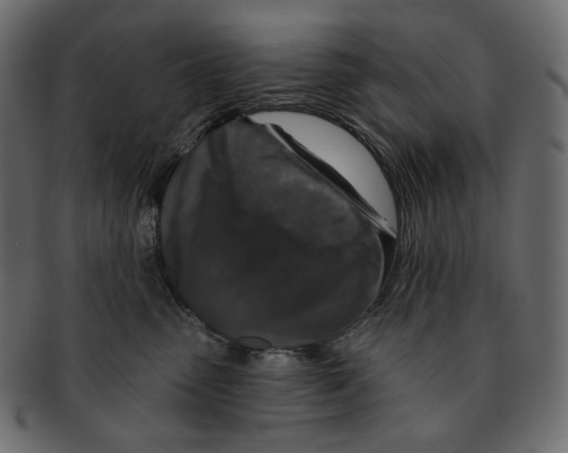 X0000091930475200710031102