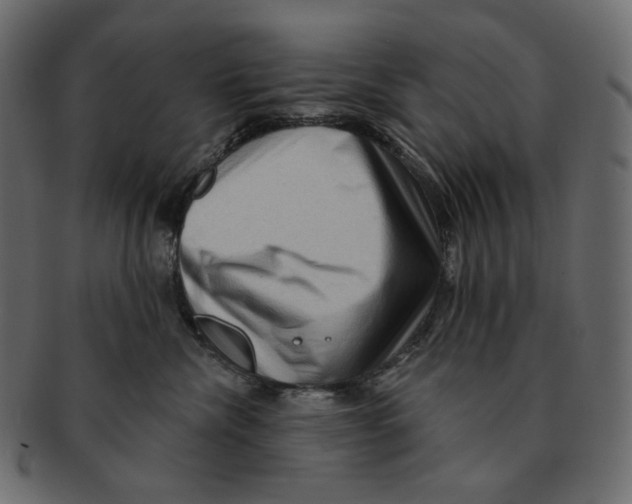 X0000091930476200710031102