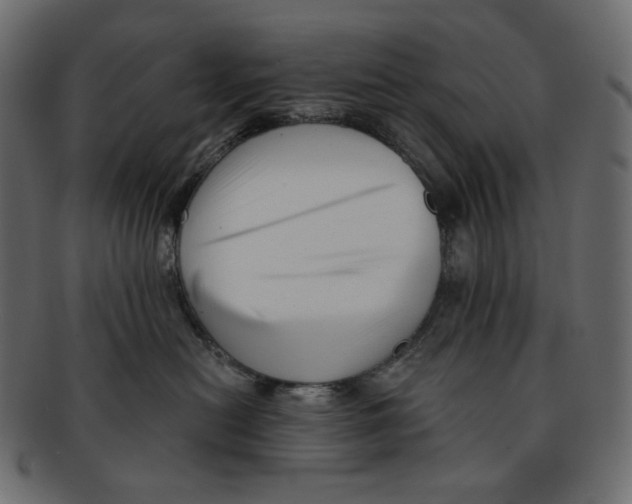 X0000091930478200710031102