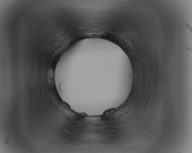 X0000091930480200710031102