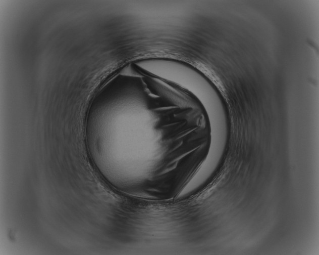 X0000091930481200710031101