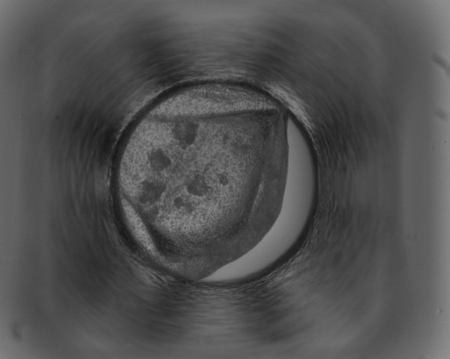 X0000091930483200710031101