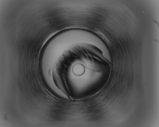 X0000091930484200710031101