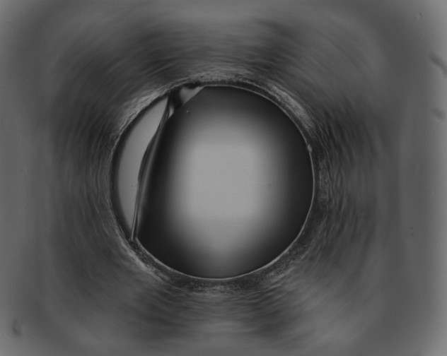 X0000091930485200710031101