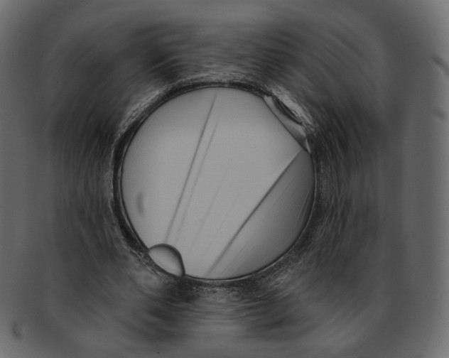 X0000091930486200710031101