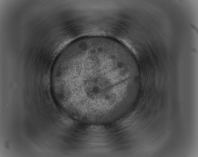 X0000091930487200710031101