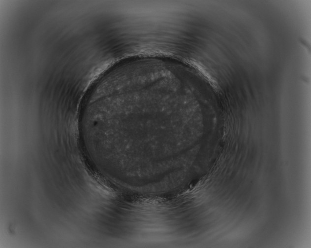 X0000091930488200710031101